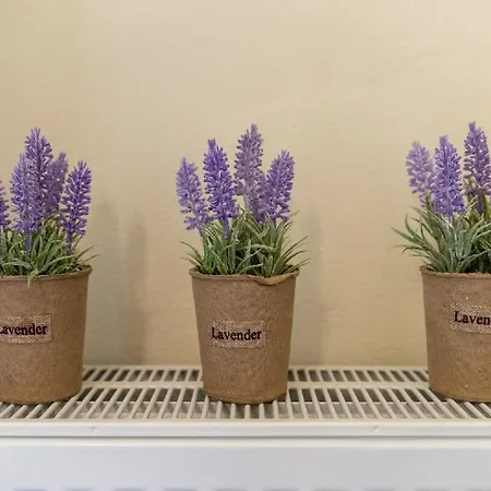 Lägenhet Blue Boutique Apts Amoudara Lasithiou